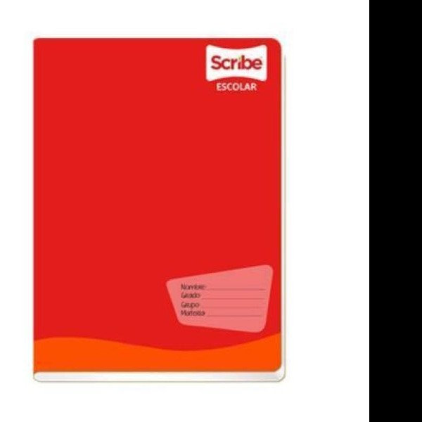 CUADERNO FRANC. CLASICO SCRIBE 6234 D.RAYA GRAPA 100H. PZA